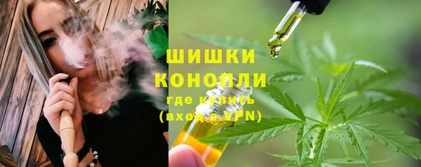 шишки Балахна